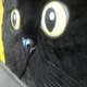 Illustration for article titled Tokyos Giant Cat Billboard Is Big Enough to Pet